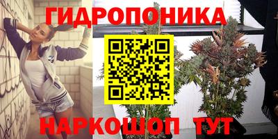 амфетамин Кингисепп